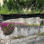 La Maison De Juliette *