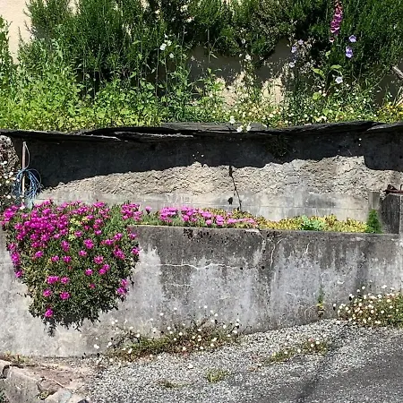 La Maison De Juliette *